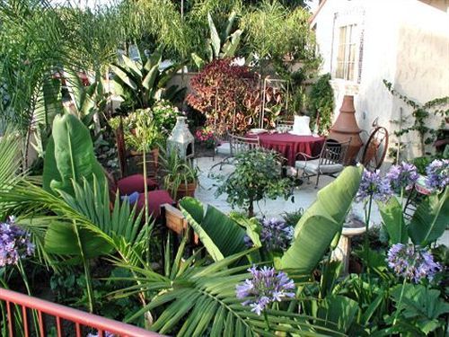 Always By Elevate San Clemente